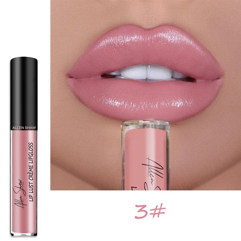 Sexy Women Lipstick , Waterproof Long Lasting ,Moist Lip Gloss ,Vivid Colorful Lip-gloss, Women Makeup .#NP - Image 3